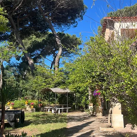 Presqu Ile De Giens T4 Proche Plages Apartamento