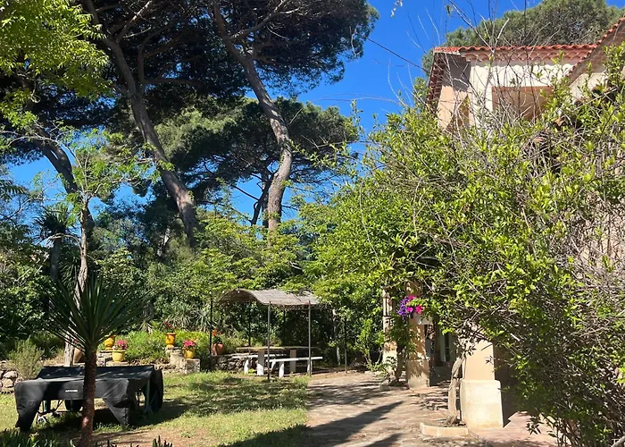 Presqu Ile De Giens T4 Proche Plages Appartement